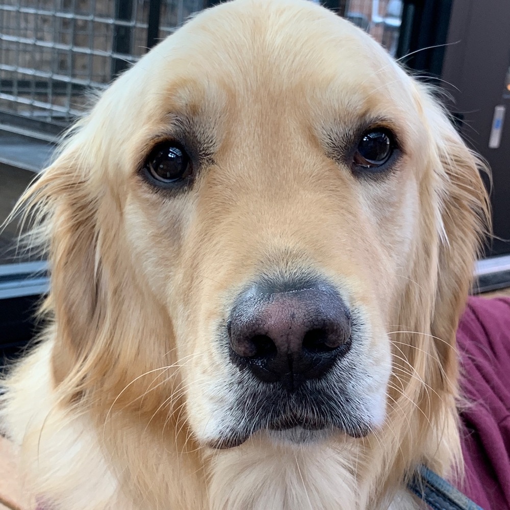 Meet your Posher, Michele